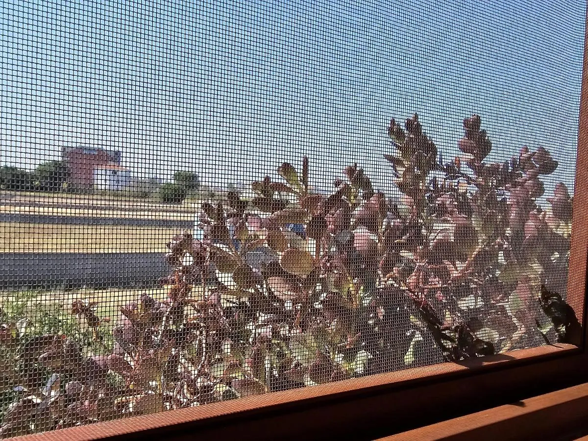 Sokol Guest House Velipojë